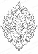 Chamäleon Mandalas Ausmalbilder – Tiere – 15 Malvorlagen – Materialseite 11