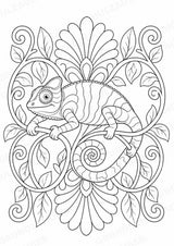 Chamäleon Mandalas Ausmalbilder – Tiere – 15 Malvorlagen – Materialseite 13