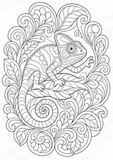 Chamäleon Mandalas Ausmalbilder – Tiere – 15 Malvorlagen – Materialseite 16