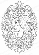 Eichhörnchen Mandalas Ausmalbilder – Tiere – 15 Malvorlagen – Materialseite 2