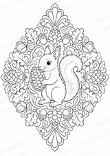 Eichhörnchen Mandalas Ausmalbilder – Tiere – 15 Malvorlagen – Materialseite 8