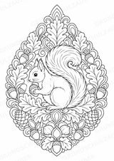 Eichhörnchen Mandalas Ausmalbilder – Tiere – 15 Malvorlagen – Materialseite 10