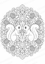 Eichhörnchen Mandalas Ausmalbilder – Tiere – 15 Malvorlagen – Materialseite 11