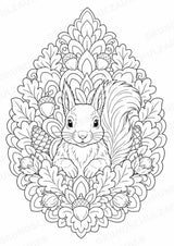 Eichhörnchen Mandalas Ausmalbilder – Tiere – 15 Malvorlagen – Materialseite 14
