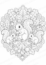 Eichhörnchen Mandalas Ausmalbilder – Tiere – 15 Malvorlagen – Materialseite 16