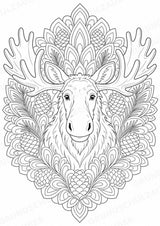 Elch Mandalas Ausmalbilder – Tiere – 15 Malvorlagen – Materialseite 4