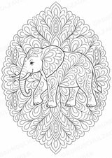 Elefant Mandalas Ausmalbilder – Tiere – 15 Malvorlagen – Materialseite 4
