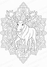 Elch Mandalas Ausmalbilder – Tiere – 15 Malvorlagen – Materialseite 10