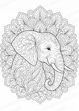 Elefant Mandalas Ausmalbilder – Tiere – 15 Malvorlagen – Materialseite 12