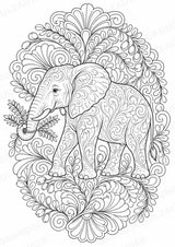 Elefant Mandalas Ausmalbilder – Tiere – 15 Malvorlagen – Materialseite 14