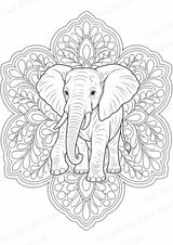 Elefant Mandalas Ausmalbilder – Tiere – 15 Malvorlagen – Materialseite 15
