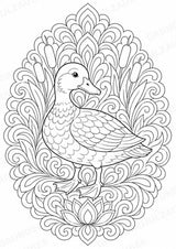 Ente Mandalas Ausmalbilder – Tiere – 15 Malvorlagen – Materialseite 2