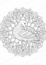 Ente Mandalas Ausmalbilder – Tiere – 15 Malvorlagen – Materialseite 6
