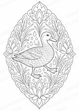 Ente Mandalas Ausmalbilder – Tiere – 15 Malvorlagen – Materialseite 11