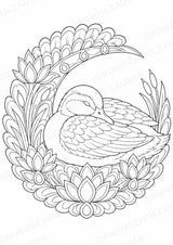 Ente Mandalas Ausmalbilder – Tiere – 15 Malvorlagen – Materialseite 13