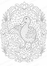 Ente Mandalas Ausmalbilder – Tiere – 15 Malvorlagen – Materialseite 14