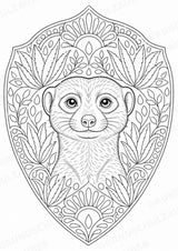 Erdmännchen Mandalas Ausmalbilder – Tiere – 15 Malvorlagen – Materialseite 3