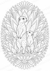 Erdmännchen Mandalas Ausmalbilder – Tiere – 15 Malvorlagen – Materialseite 8