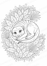 Erdmännchen Mandalas Ausmalbilder – Tiere – 15 Malvorlagen – Materialseite 10