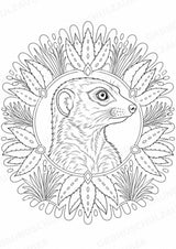 Erdmännchen Mandalas Ausmalbilder – Tiere – 15 Malvorlagen – Materialseite 12