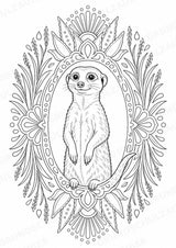 Erdmännchen Mandalas Ausmalbilder – Tiere – 15 Malvorlagen – Materialseite 13