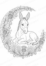 Esel Mandalas Ausmalbilder – Tiere – 15 Malvorlagen – Materialseite 10