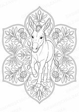 Esel Mandalas Ausmalbilder – Tiere – 15 Malvorlagen – Materialseite 16