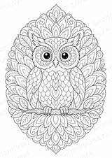 Eule Mandalas Ausmalbilder – Tiere – 15 Malvorlagen – Materialseite 2