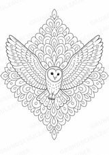 Eule Mandalas Ausmalbilder – Tiere – 15 Malvorlagen – Materialseite 4