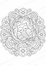 Eule Mandalas Ausmalbilder – Tiere – 15 Malvorlagen – Materialseite 5