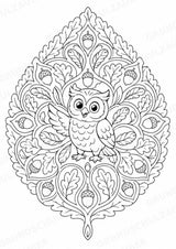 Eule Mandalas Ausmalbilder – Tiere – 15 Malvorlagen – Materialseite 6