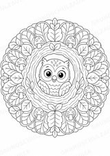 Eule Mandalas Ausmalbilder – Tiere – 15 Malvorlagen – Materialseite 13