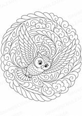 Eule Mandalas Ausmalbilder – Tiere – 15 Malvorlagen – Materialseite 14