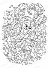 Eule Mandalas Ausmalbilder – Tiere – 15 Malvorlagen – Materialseite 15