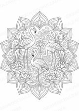 Flamingo Mandalas Ausmalbilder – Tiere – 15 Malvorlagen – Materialseite 9