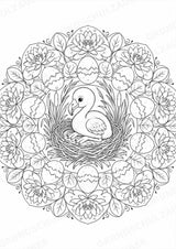 Flamingo Mandalas Ausmalbilder – Tiere – 15 Malvorlagen – Materialseite 13