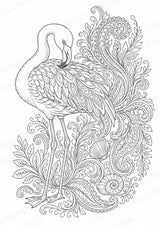Flamingo Mandalas Ausmalbilder – Tiere – 15 Malvorlagen – Materialseite 15