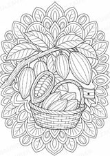 Ghana Mandalas Ausmalbilder – Länder und Kulturen – 15 Malvorlagen – Materialseite 11