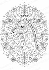 Giraffe Mandalas Ausmalbilder – Tiere – 15 Malvorlagen – Materialseite 12