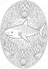 Hai Mandalas Ausmalbilder – Tiere – 15 Malvorlagen – Materialseite 9