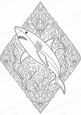 Hai Mandalas Ausmalbilder – Tiere – 15 Malvorlagen – Materialseite 11