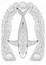 Hai Mandalas Ausmalbilder – Tiere – 15 Malvorlagen – Materialseite 13