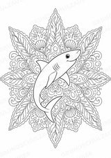 Hai Mandalas Ausmalbilder – Tiere – 15 Malvorlagen – Materialseite 15