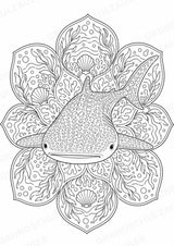 Hai Mandalas Ausmalbilder – Tiere – 15 Malvorlagen – Materialseite 16