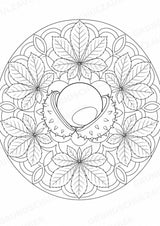Herbst Mandalas Ausmalbilder – Wetter und Jahreszeiten – 15 Malvorlagen – Materialseite 11