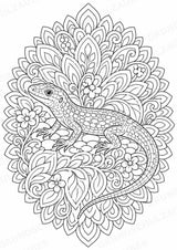 Eidechse Mandalas Ausmalbilder – Tiere – 15 Malvorlagen – Materialseite 2