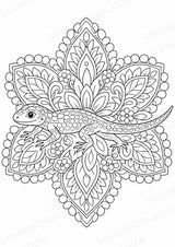 Eidechse Mandalas Ausmalbilder – Tiere – 15 Malvorlagen – Materialseite 7