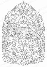 Eidechse Mandalas Ausmalbilder – Tiere – 15 Malvorlagen – Materialseite 8