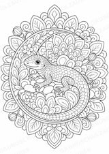 Eidechse Mandalas Ausmalbilder – Tiere – 15 Malvorlagen – Materialseite 13