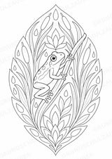 Frosch Mandalas Ausmalbilder – Tiere – 15 Malvorlagen – Materialseite 4